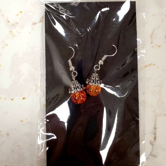 Jewelry - ‼️NWT 💕Beautiful 💕 Simple dangle earrings